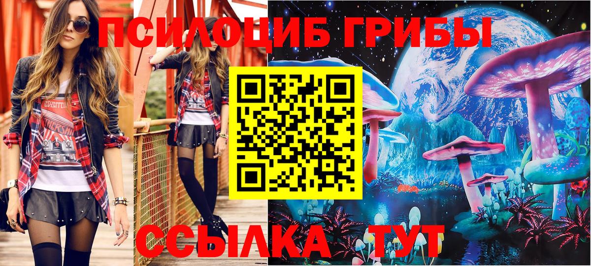 Псилоцибиновые грибы прущие грибы Энгельс