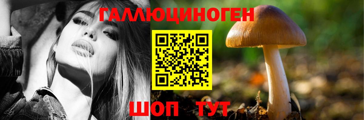 Галлюциногенные грибы ЛСД  Вход с VPN  как найти закладки  Энгельс  Галлюциногенные грибы Psilocybe 